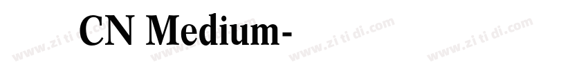 有愛魔獸鋭方 CN Medium字体转换